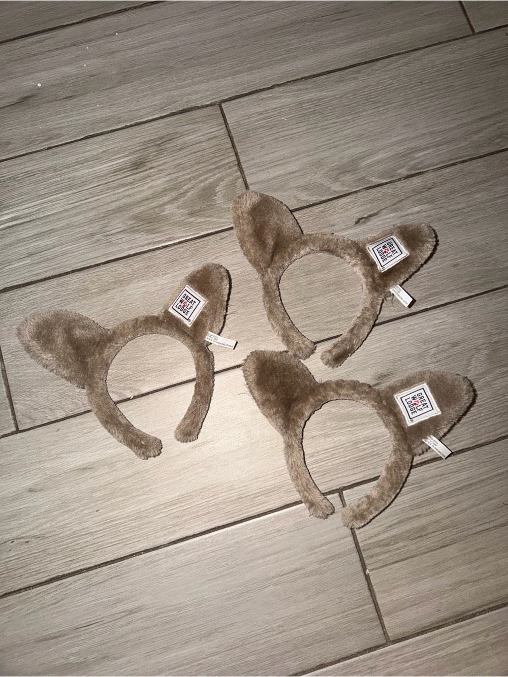 3 Great Wolf Lodge Ears